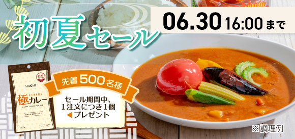 初夏セール開催中