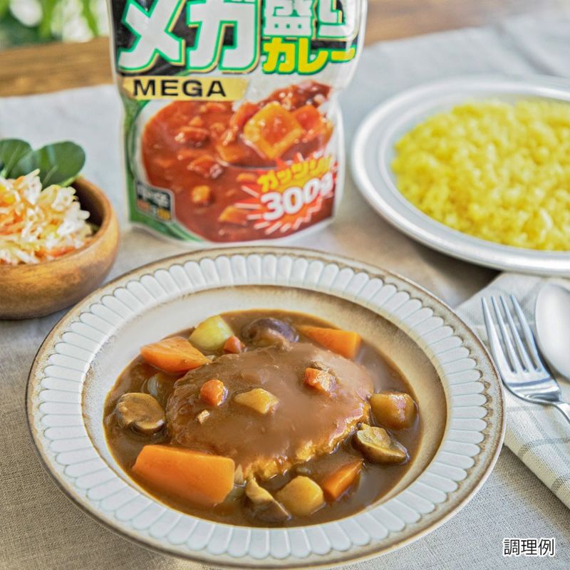 メガ盛りカレー 中辛／レトルトカレー 1人前 300g×10個セット