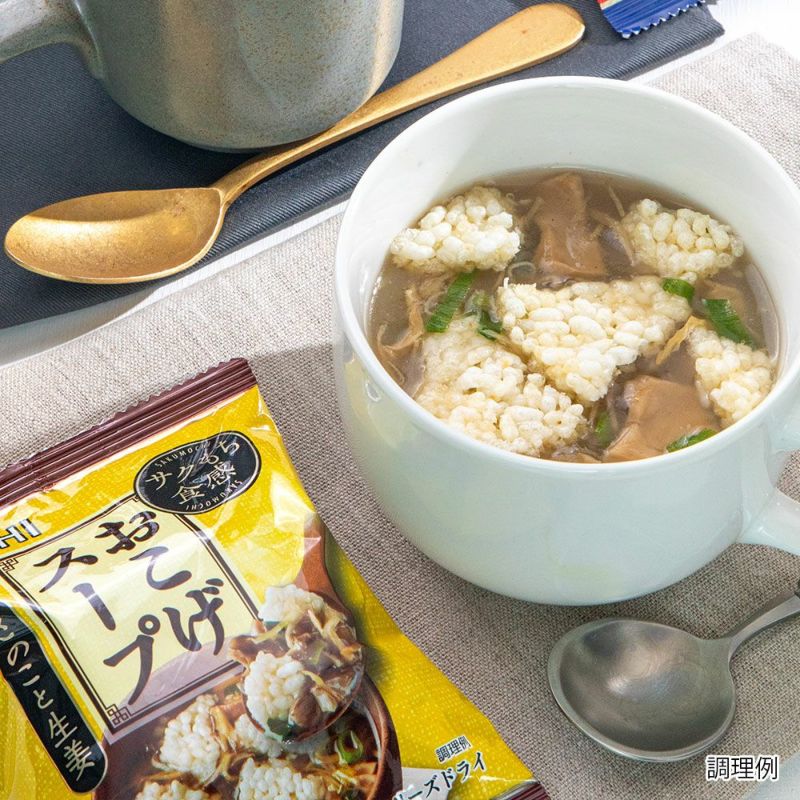 セルティアミール 3種きのこのスープごはん 210g×10 2箱 セルティアミール 3種きのこのスープごはん 210g×10 2箱